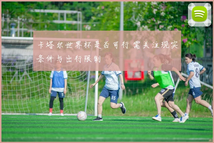 卡塔尔世界杯是否可行 需关注现实条件与出行限制