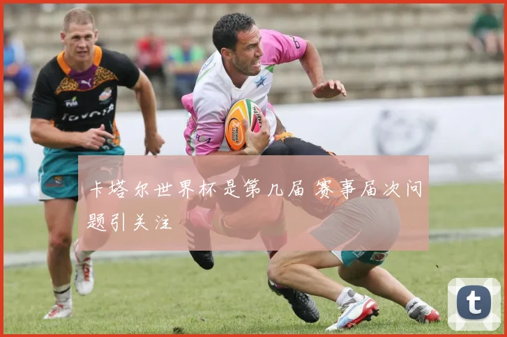 卡塔尔世界杯是第几届 赛事届次问题引关注