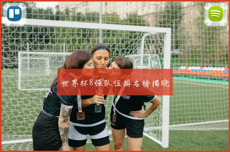 世界杯8强队伍排名榜揭晓